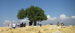 Day 9 – God’s Way