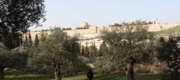 Day 4â€”Where Jesus Prayed