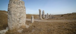 Day 1 – Dead Stones
