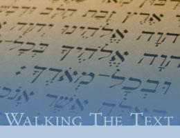 Walking the Text