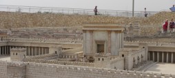 Day 9 – Herod the Great or Jesus?